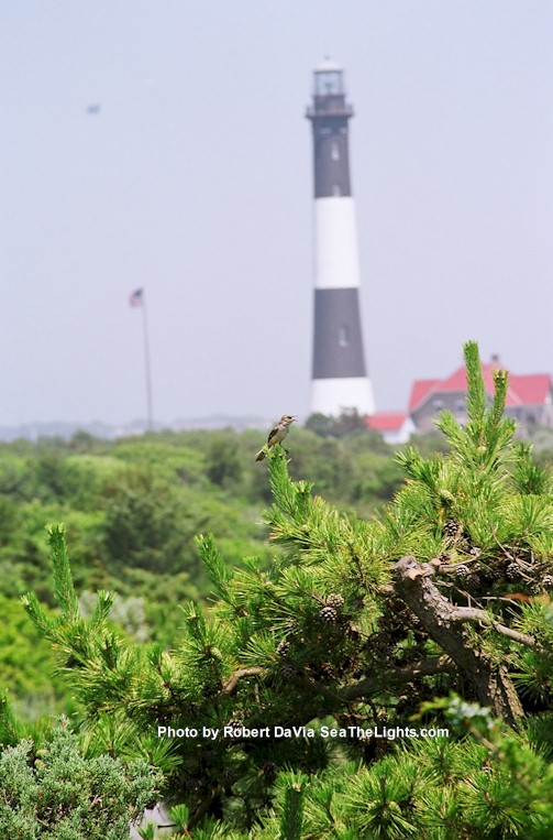 Fire Island Lighthouse - Sea The Lights