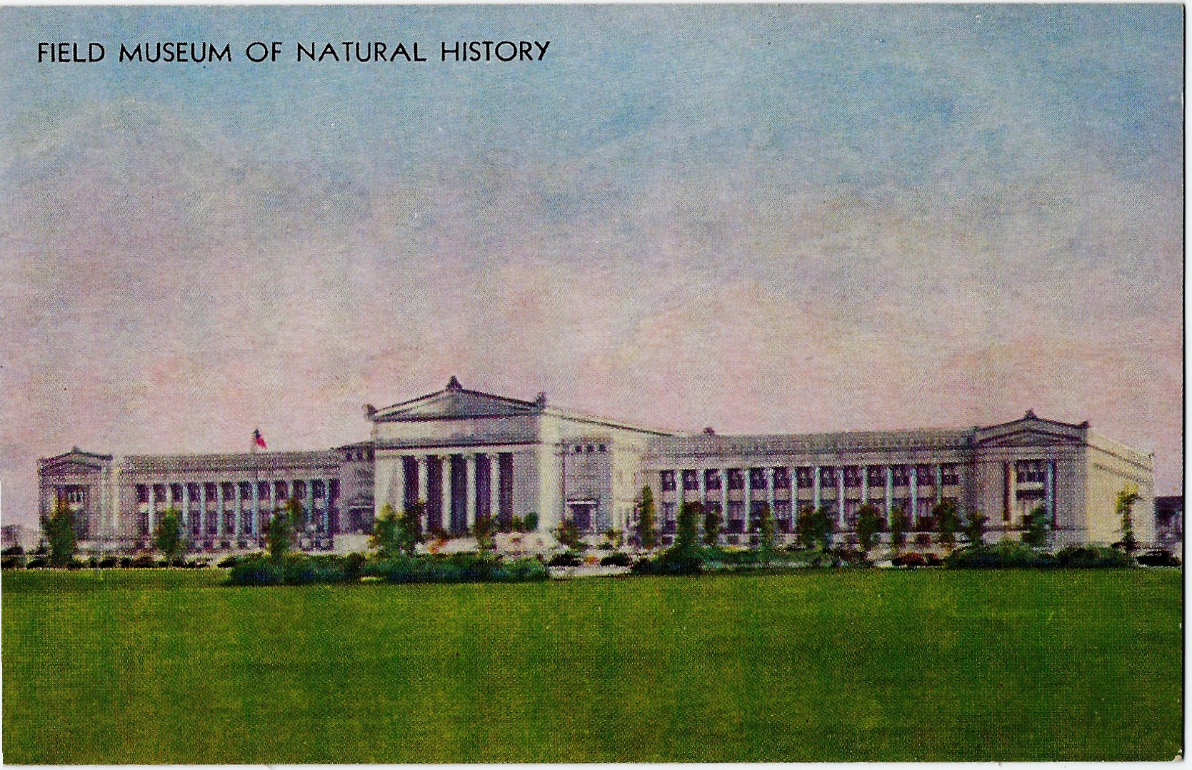 Field Museum of Natural History Chicago Illinois (IL) No. 107 - Click Image to Close