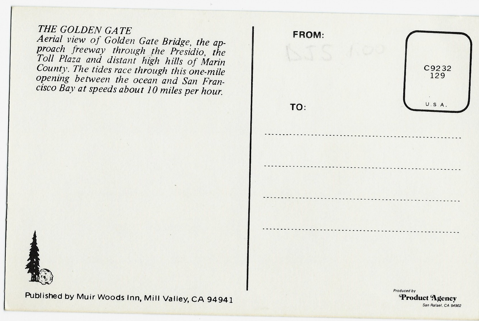 The Golden Gate Postcard C9232 129