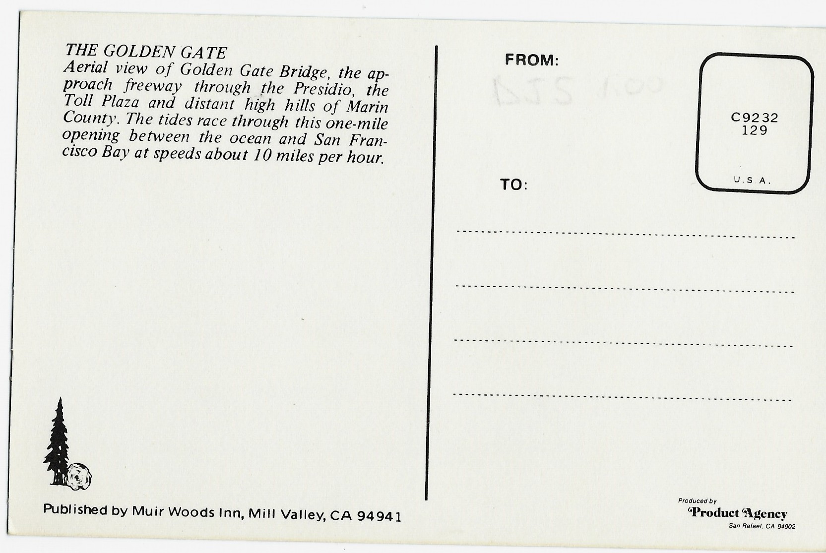 The Golden Gate Postcard C9232 129