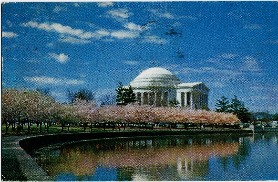 WASHINGTON DC JEFFERSON MEMORIAL & CHERRY BLOSSOMS PE-24 - Click Image to Close