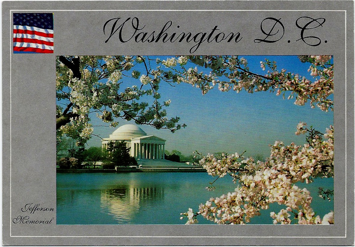 Jefferson Memorial Cherry Blossoms Washington DC Postcard DC-65